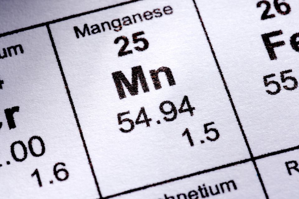 Mangan w wodzie – czego możesz się spodziewać?